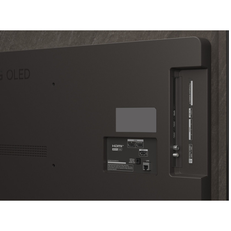 پورت های ورودی خروجی تلویزیون ال جی 55B5 مونتاژ لهستان