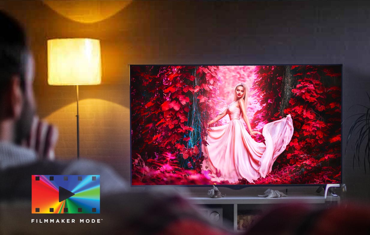 حالت تصویر Filmmaker Mode