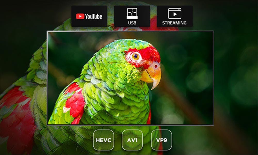 پشتیبانی از کدک های ویدئویی HEVC، VP9 و AV1