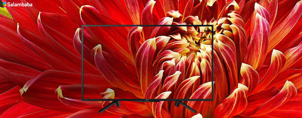 صفحه نمایش تلویزیون سونی W800G