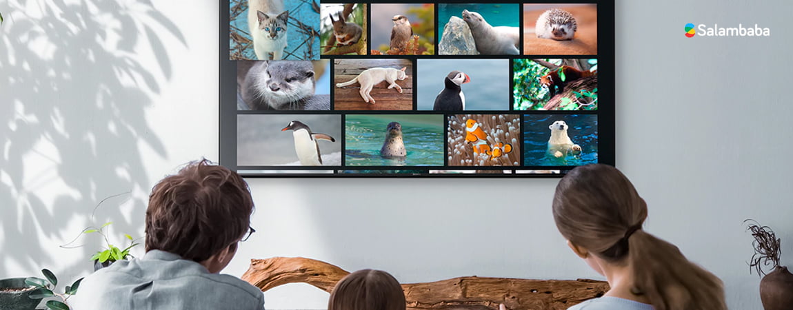 تلویزیون سونی X7000G - امکانات هوشمند