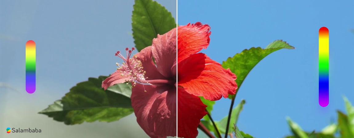 درخشندگی فوق العاده صفحه نمایش تلویزیون سونی X8500G