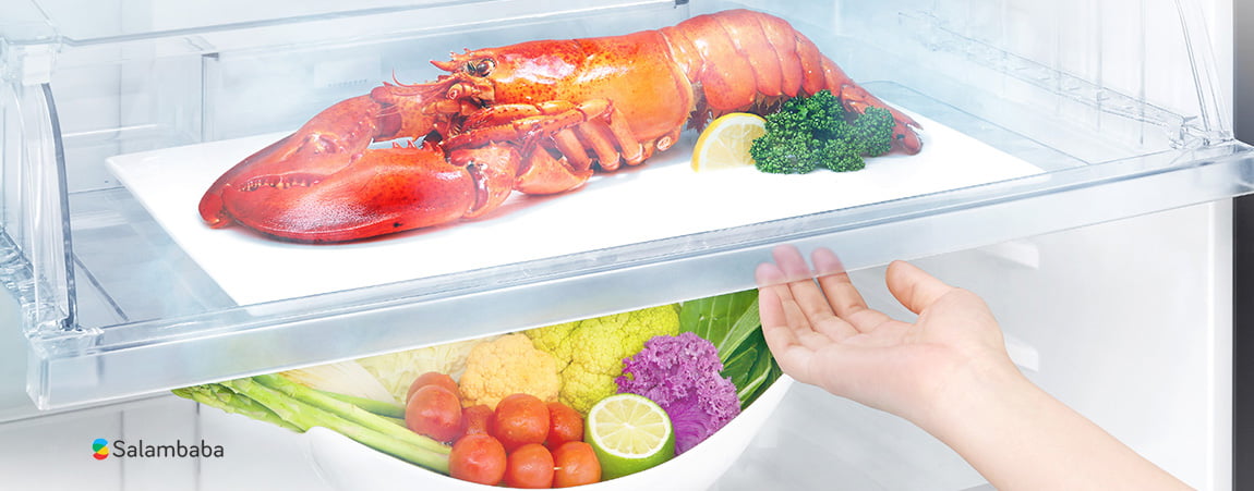 قابلیت Fresh 0 Zone در یخچال فریزر بالای ال جی B672