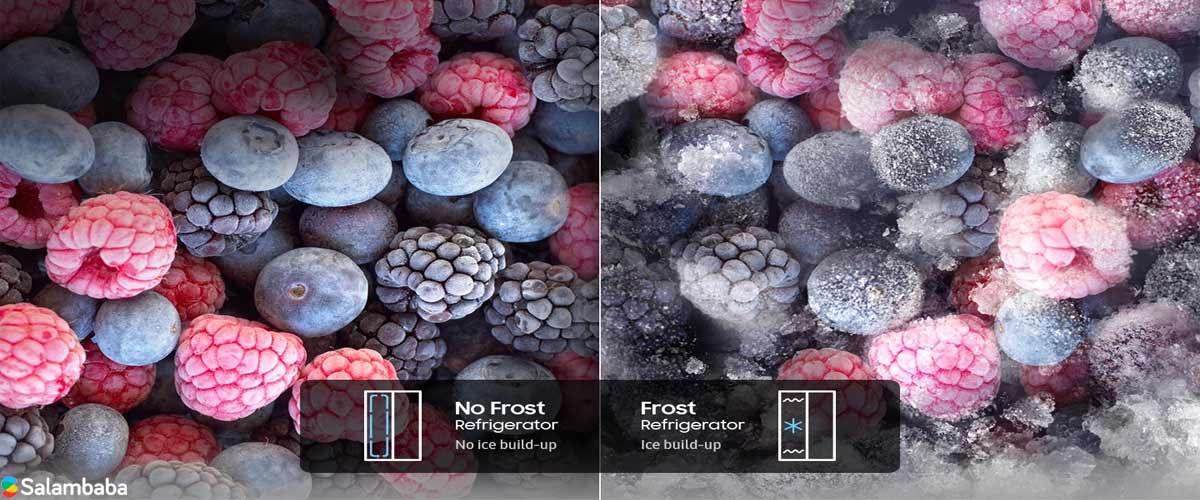   قابلیت بدون برفک NO FROST در یخچال RS50 