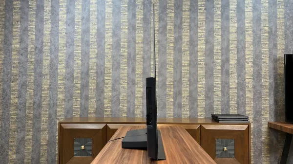 ضخامت تلویزیون ال جی CS