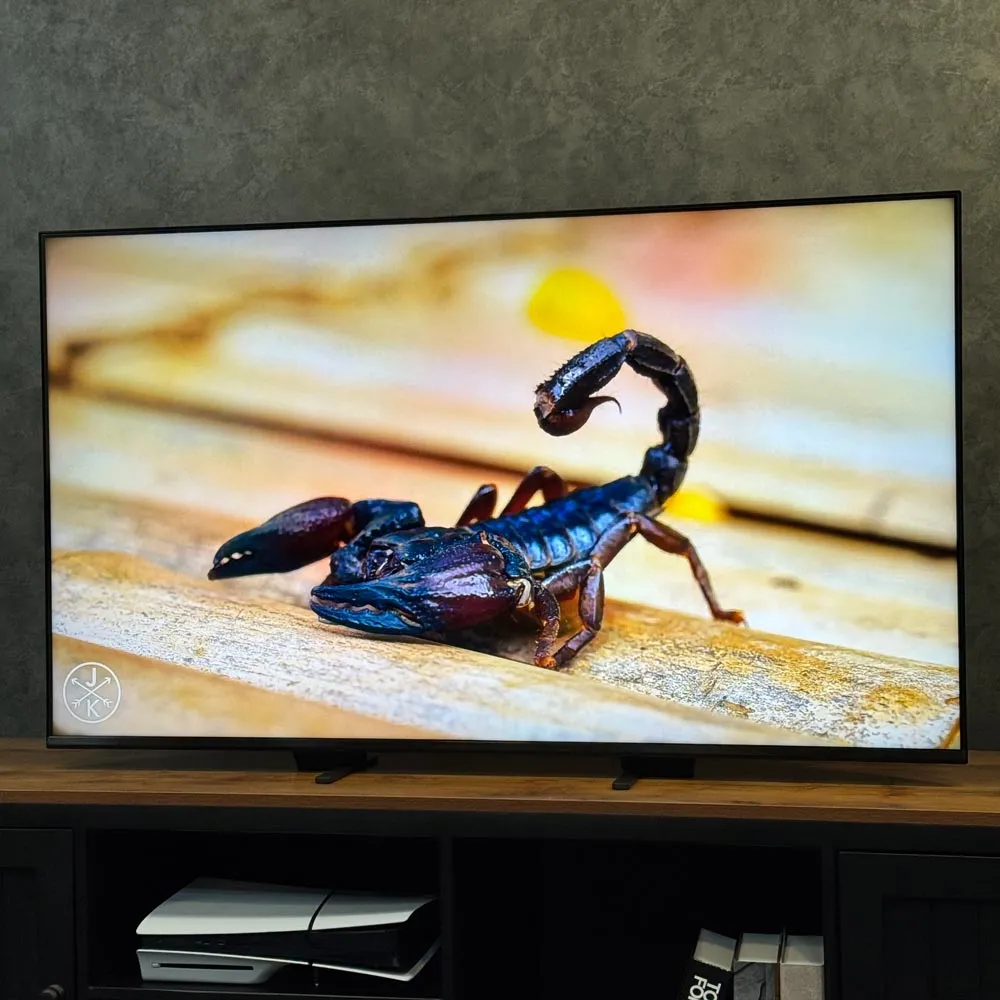 نمای کلی تلویزیون سونی BRAVIA 5 (XR50) با طراحی One Slate