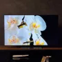 نمایش رنگ مشکی در صفحه‌ نمایش OLED Evo تلویزیون ال جی C6
